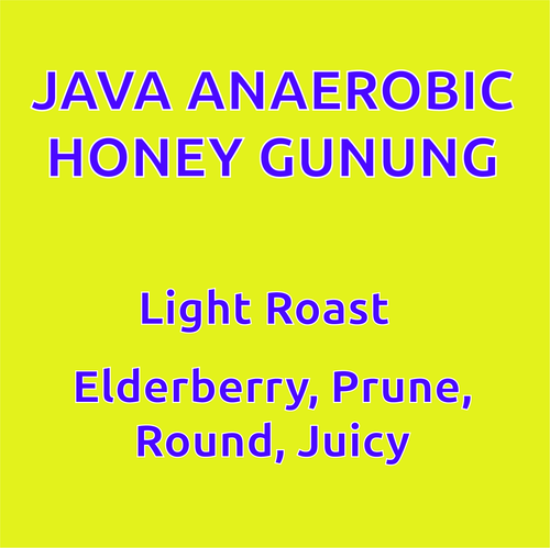 Java Anaerobic Honey Gunung