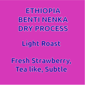 Ethiopia Benti Nenka Dry Process