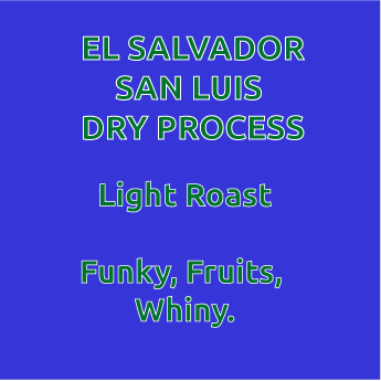 El Salvador Finca San Luis Dry Process