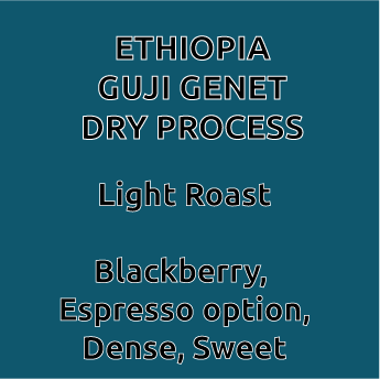 Ethiopia Guji Genet Dry Process