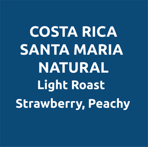 Costa Rica Santa Maria Natural