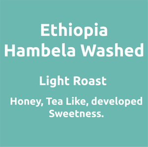 Ethiopia Hambela Washed
