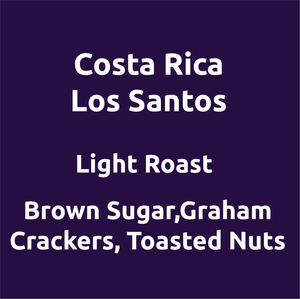 Costa Rica Honey Process Los Santos