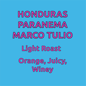 Honduras Marco Tulio Paranema Honey Process