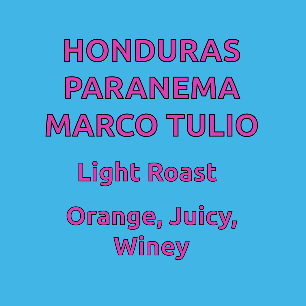 Honduras Marco Tulio Paranema Honey Process