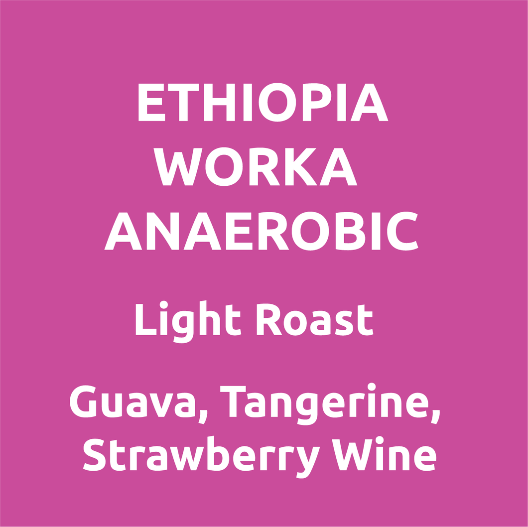 Ethiopia Worka Anaerobic