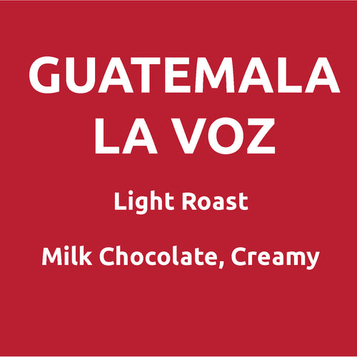 Guatemala Attitlan La Voz Co-op