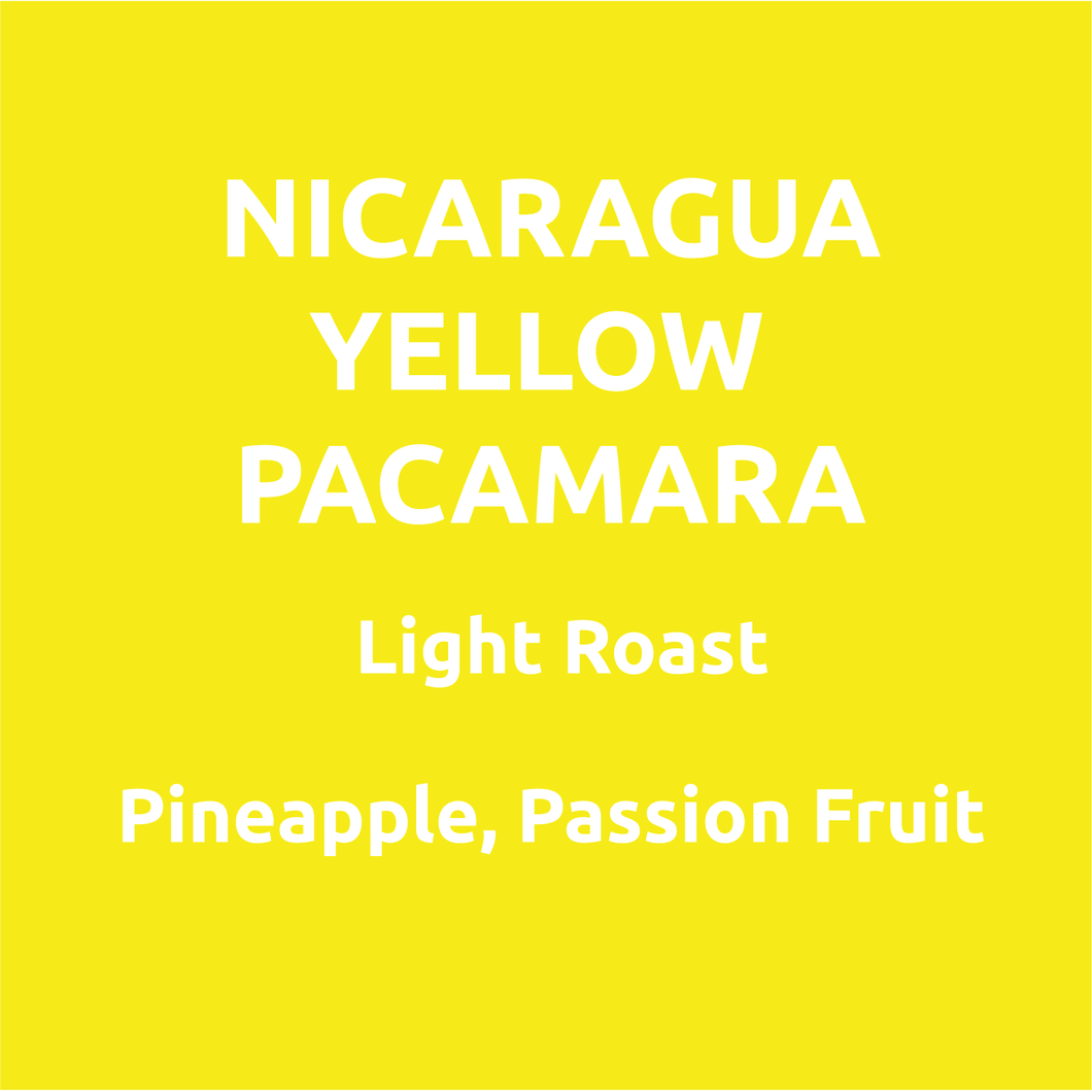 Nicaragua Limoncillo Yellow Pacamara