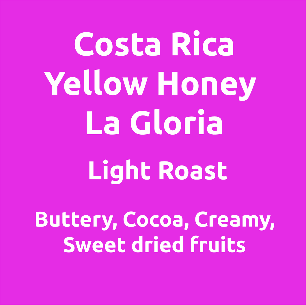 Costa Rica La Gloria Honey Process