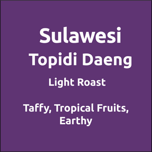 Sulawesi Topidi Daeng